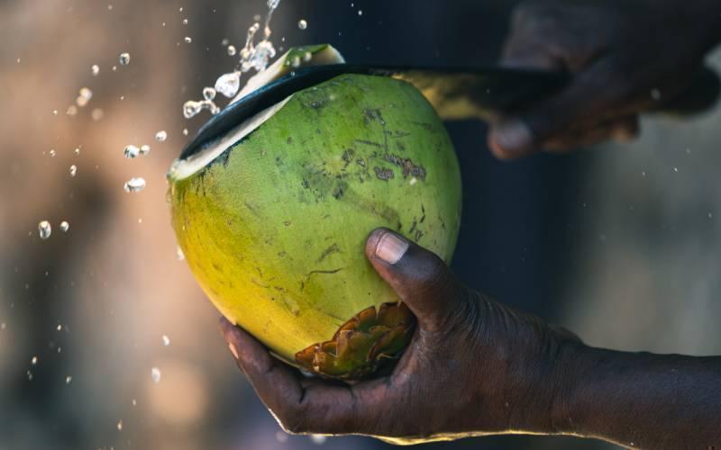 இளநீர் அருந்துவதால் ஏற்படும் மருத்துவ பயன்கள்